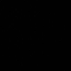 Meet your Posher, Komal